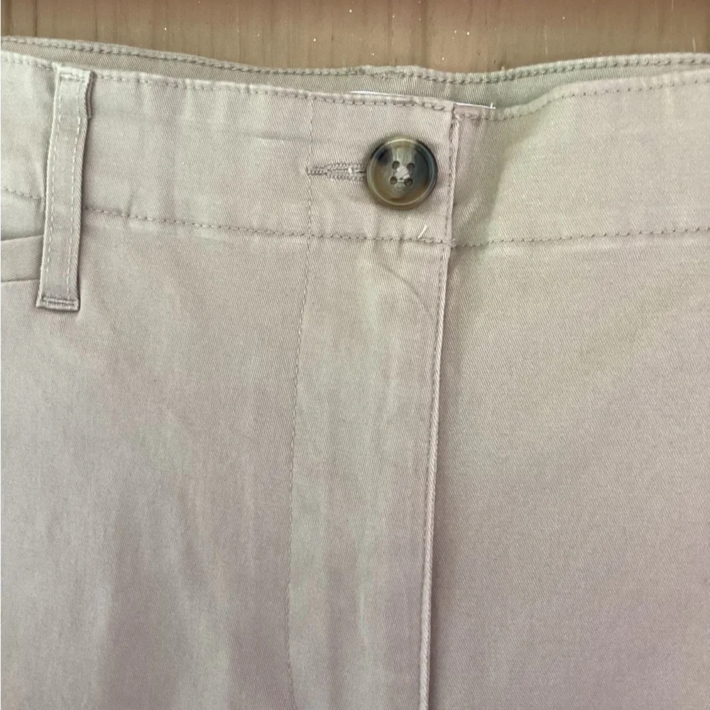 Kim Rogers Shorts Beige Stretch 4 Pocket Classic